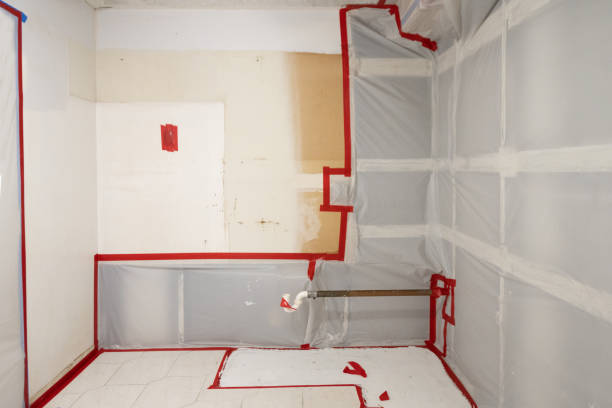 Best Post-Construction Mold Inspection  in Placentia, CA