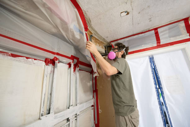 Mold Remediation for Vacation Homes in Placentia, CA