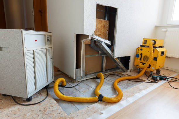 Best Asbestos and Lead Testing During Mold Inspection  in Placentia, CA