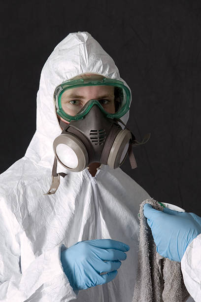 Biohazard Mold Removal in Placentia, CA